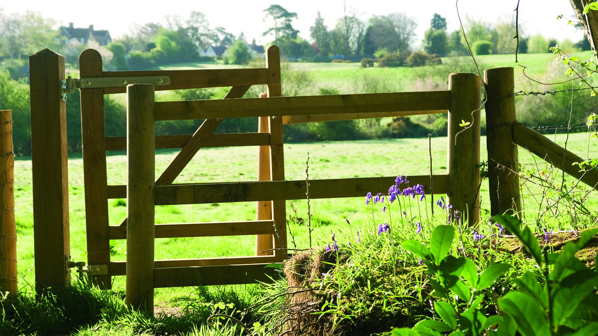 A wooden gate in a green space