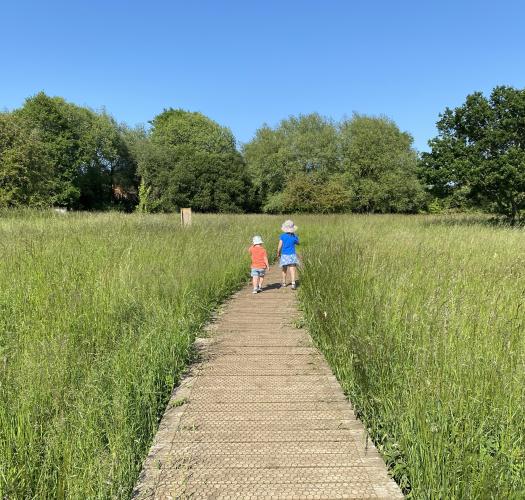 children playing in meadow
