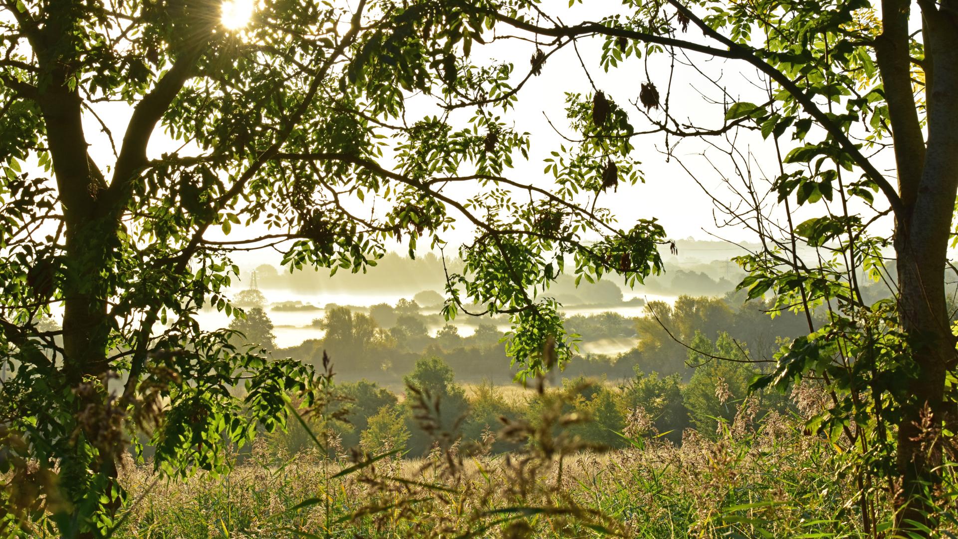 Green Spaces