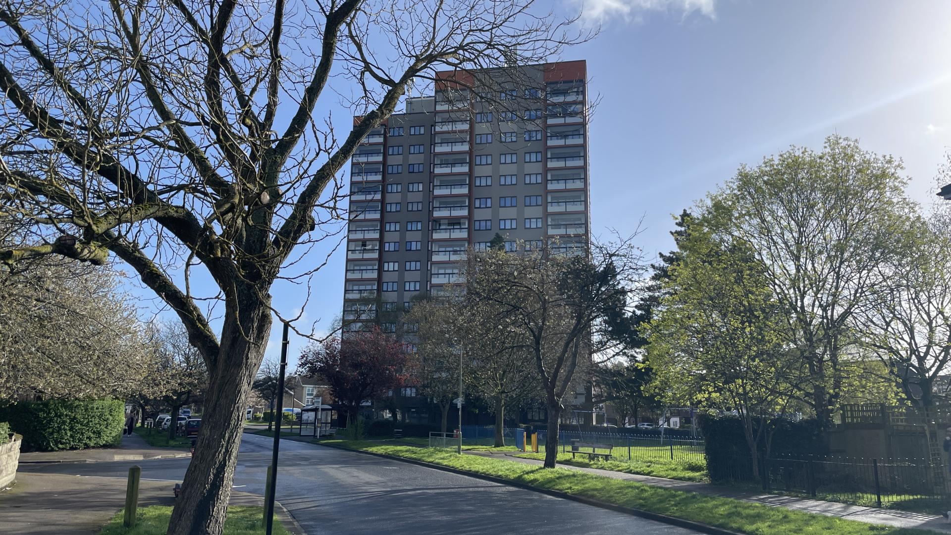 A sunlit road with trees and green verges at the edges and an orange and grey tower block in the distance.