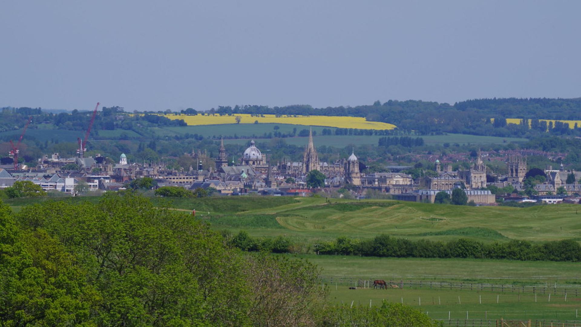 Cumnor Hill View