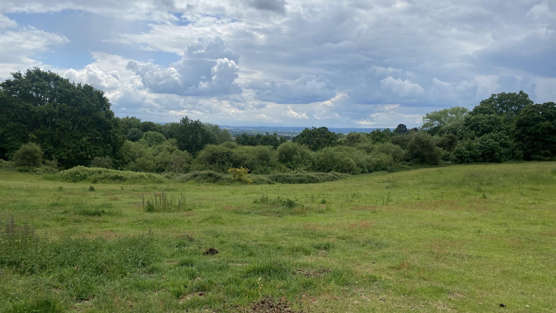 Lincombe Lane