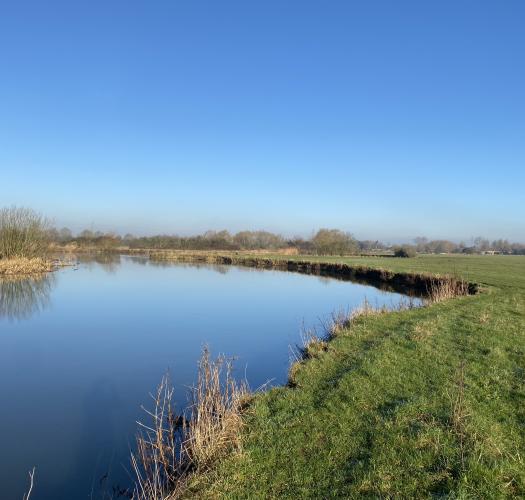Swinford