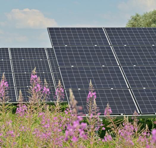 Solar Farm