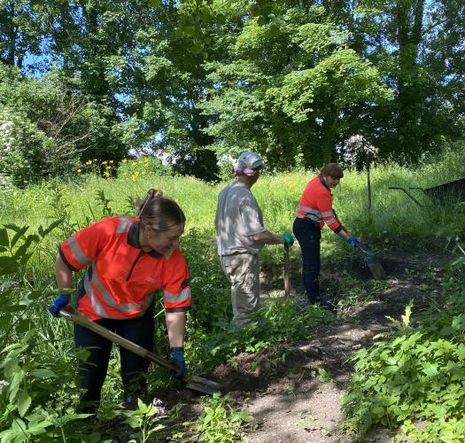Laing O Rourke Green Spaces