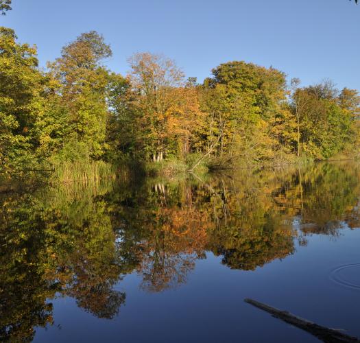 Wolvercote Lakes