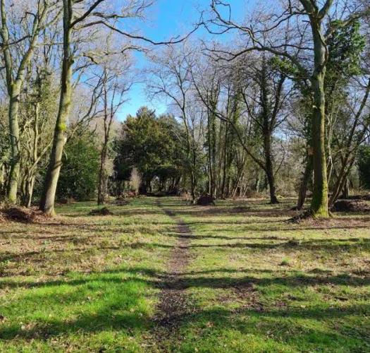 Jarn Heath