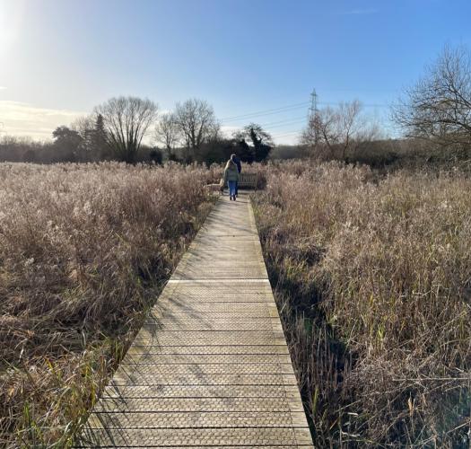 Heyford Meadow in Winter