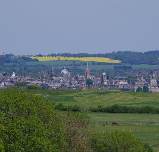 Cumnor Hill View