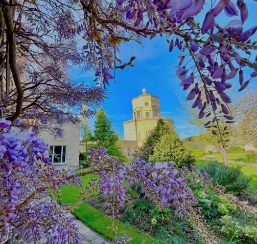 A yellow stone observatory building set in a garden with grass verges and blossoming purple wisteria.