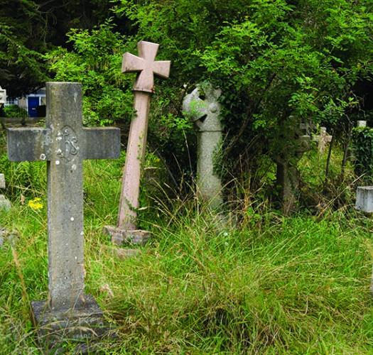 Five headstones in the shape of crosses stand in a grassy area, shaded by a tree.