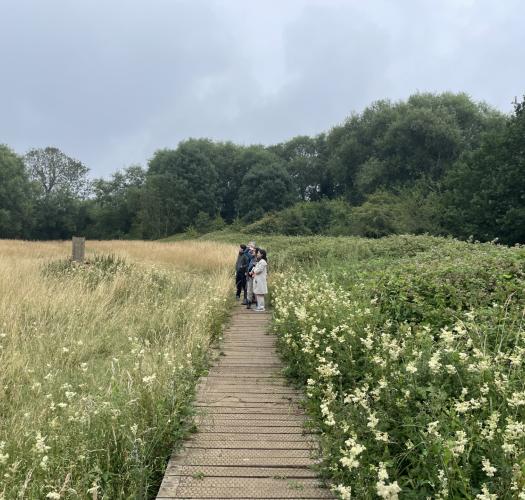 People stood in a meadow