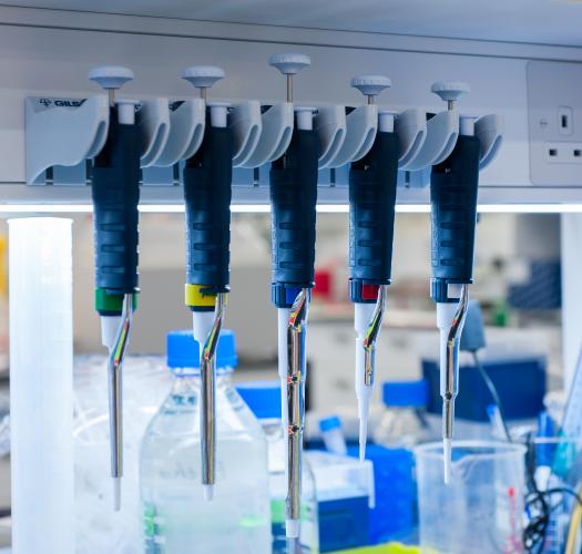 A row of five pipettes hanging in a laboratory.