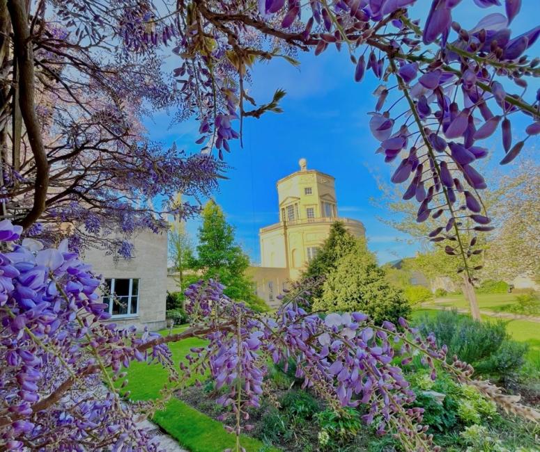 A yellow stone observatory building set in a garden with grass verges and blossoming purple wisteria.