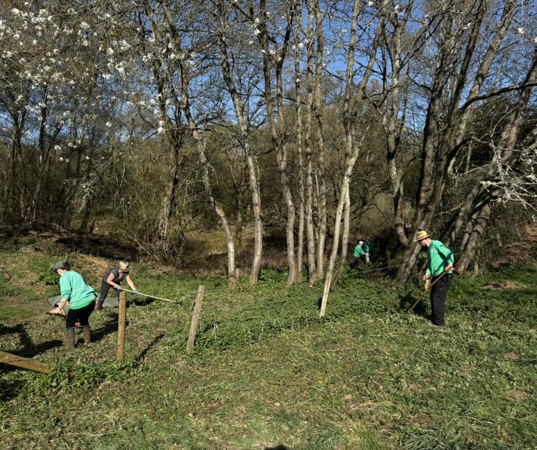MAR AGG volunteers