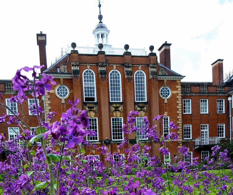 Purple and white flowers in a border with a neo-classical brick building behind.