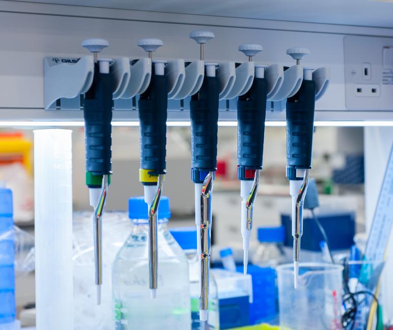 A row of five pipettes hanging in a laboratory.