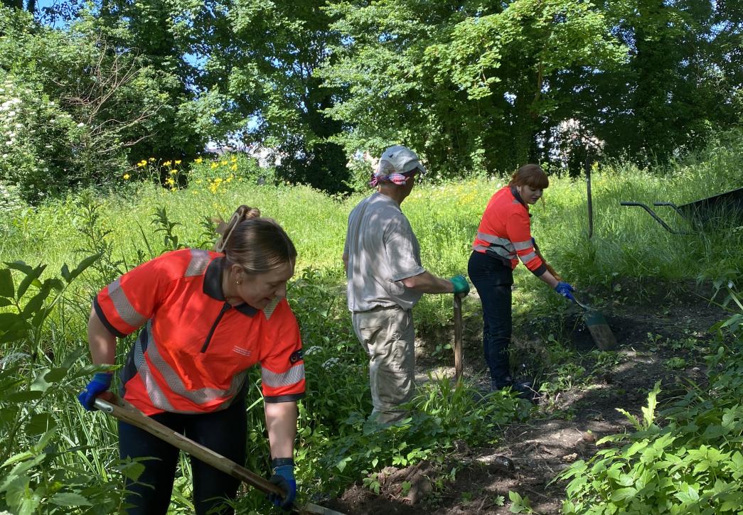 Laing O Rourke Green Spaces