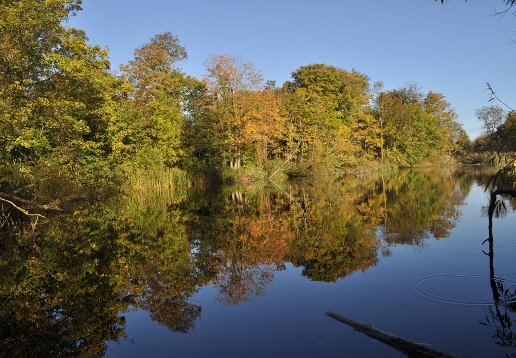 Wolvercote Lakes