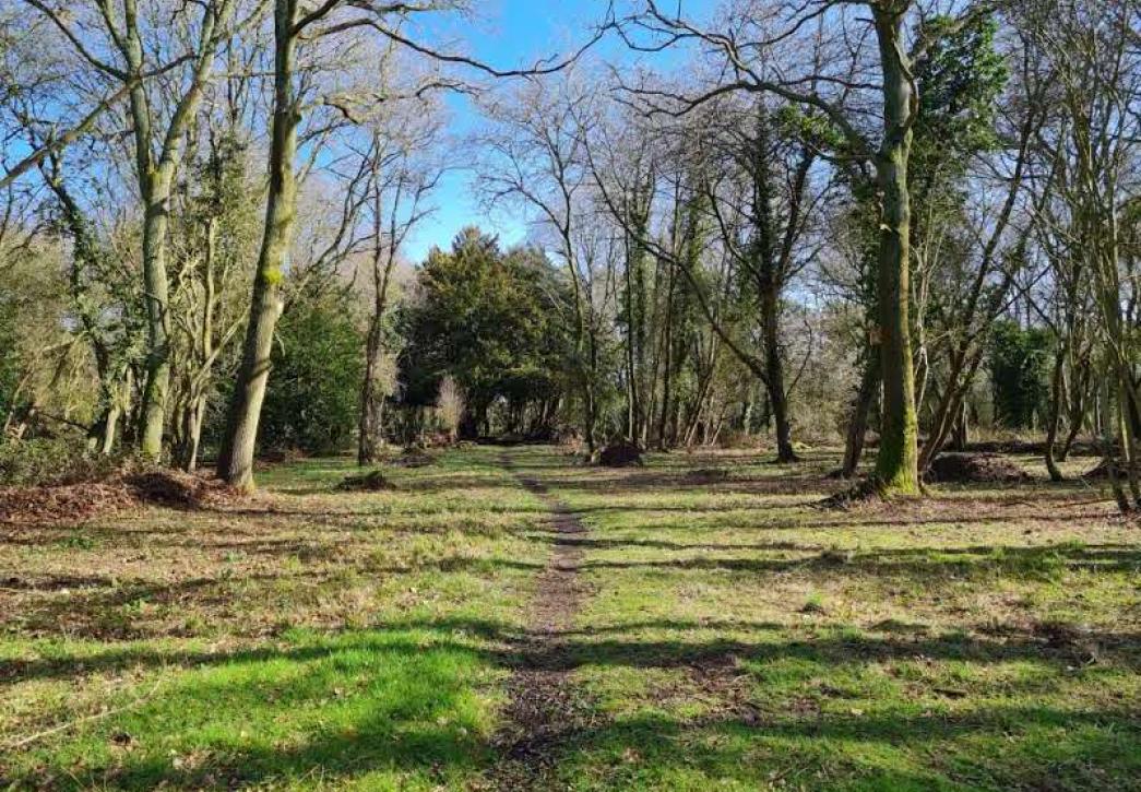 Jarn Heath