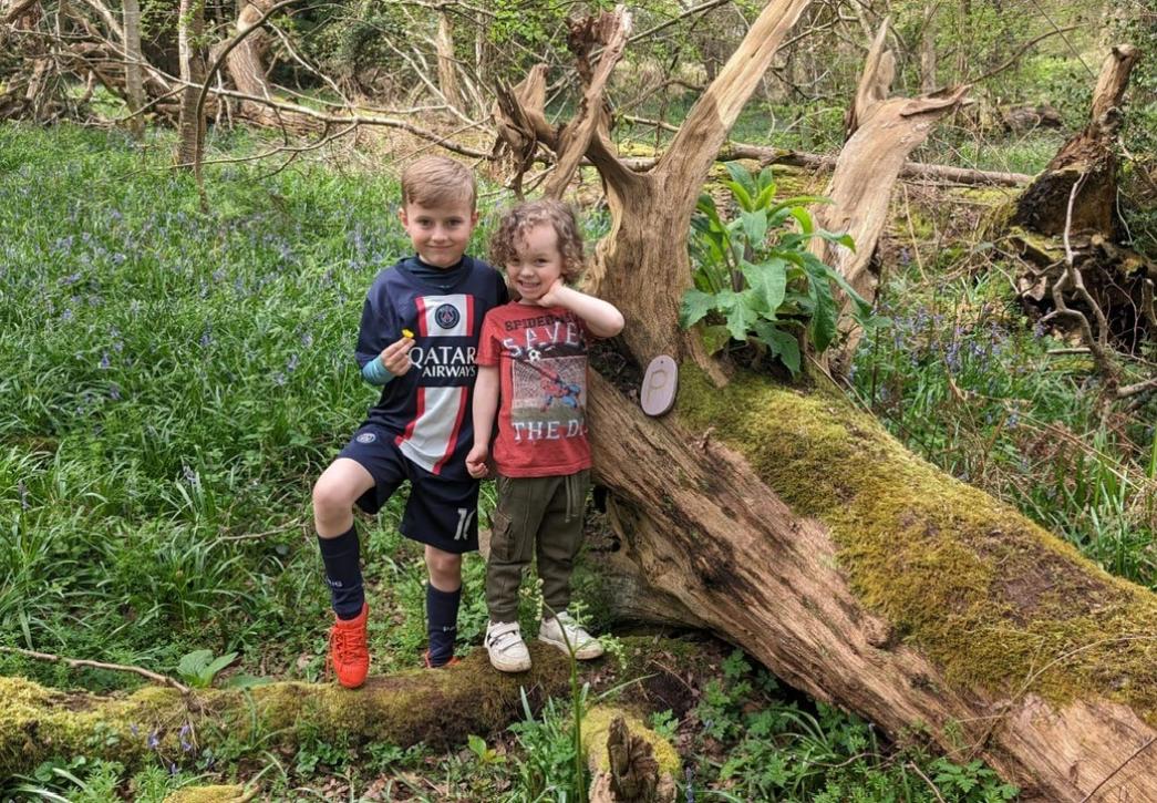 Children enjoying nature whilst on the easter trail, standing next to a fallen, moss covered tree