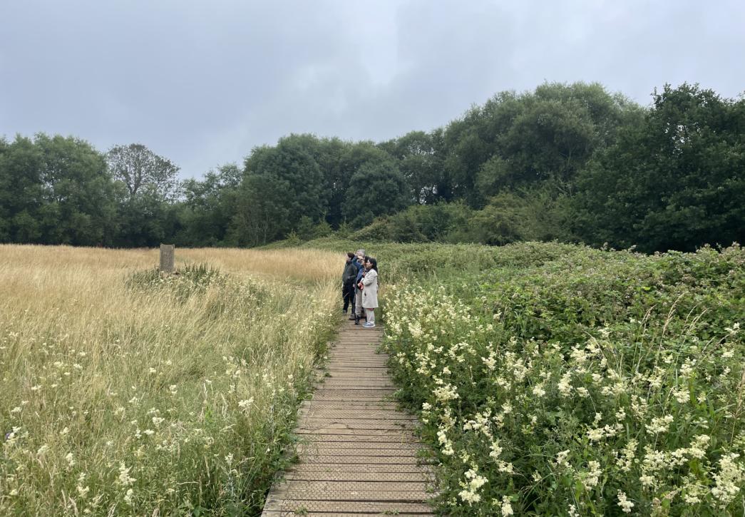 People stood in a meadow