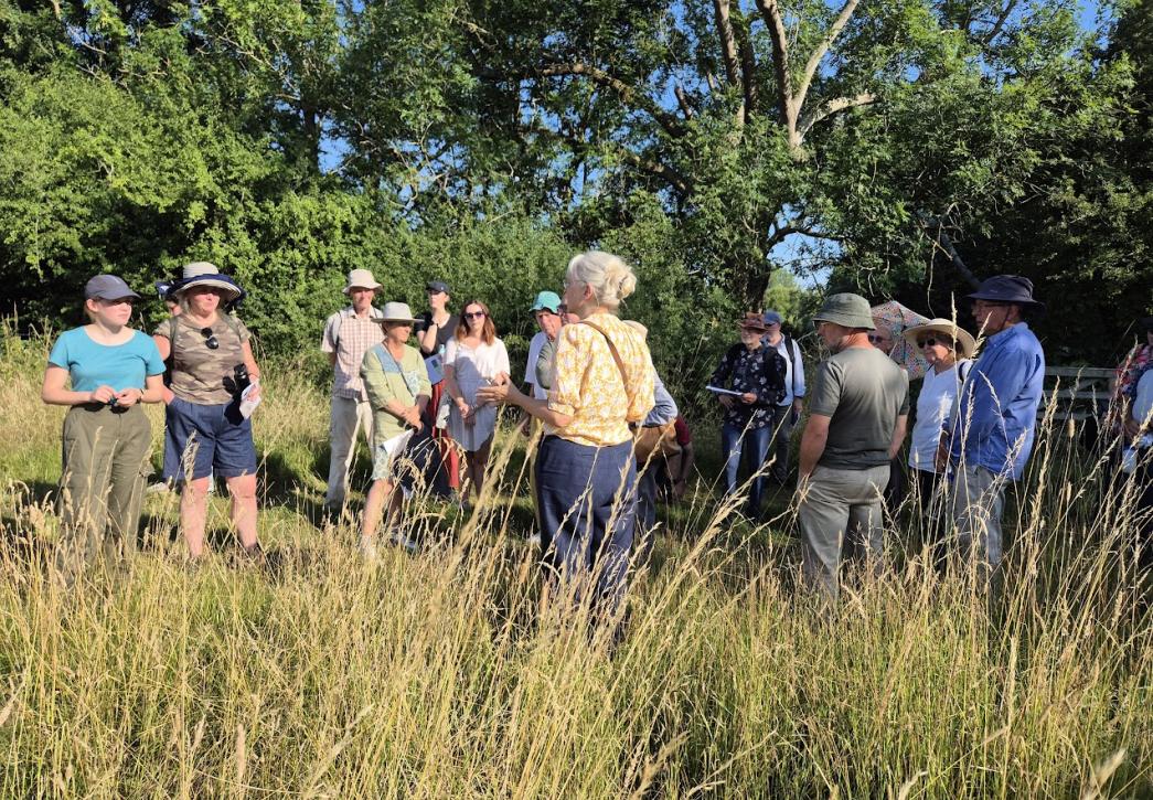 group of people in meadow